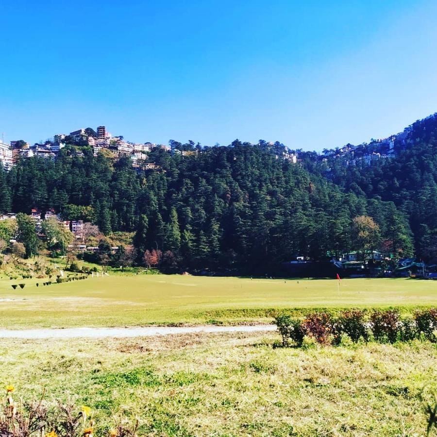 Shimla Pines Homestay Exterior foto